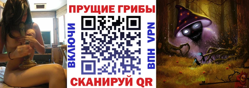 Псилоцибиновые грибы мицелий  Новый Оскол 
